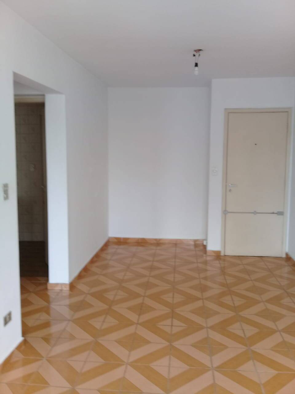 Apartamento para alugar com 2 quartos - Foto 1