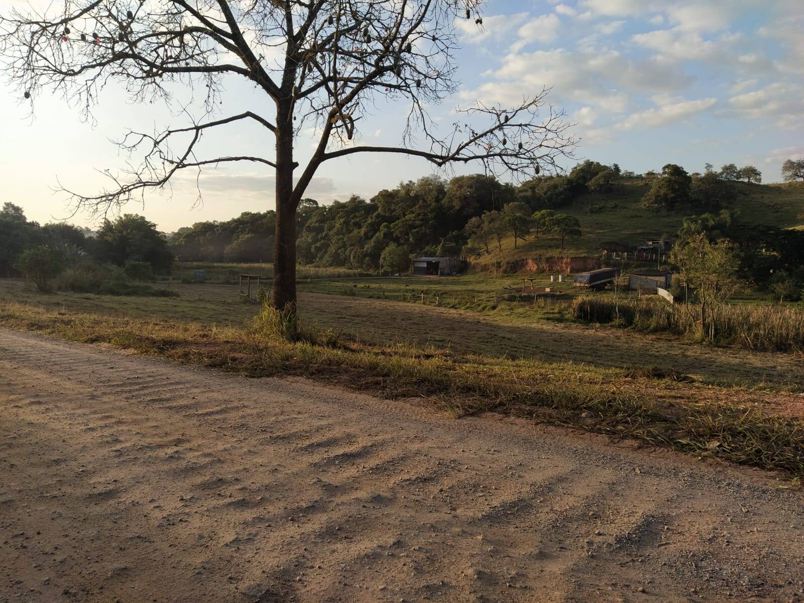 Terreno à venda, 1300m² - Foto 3