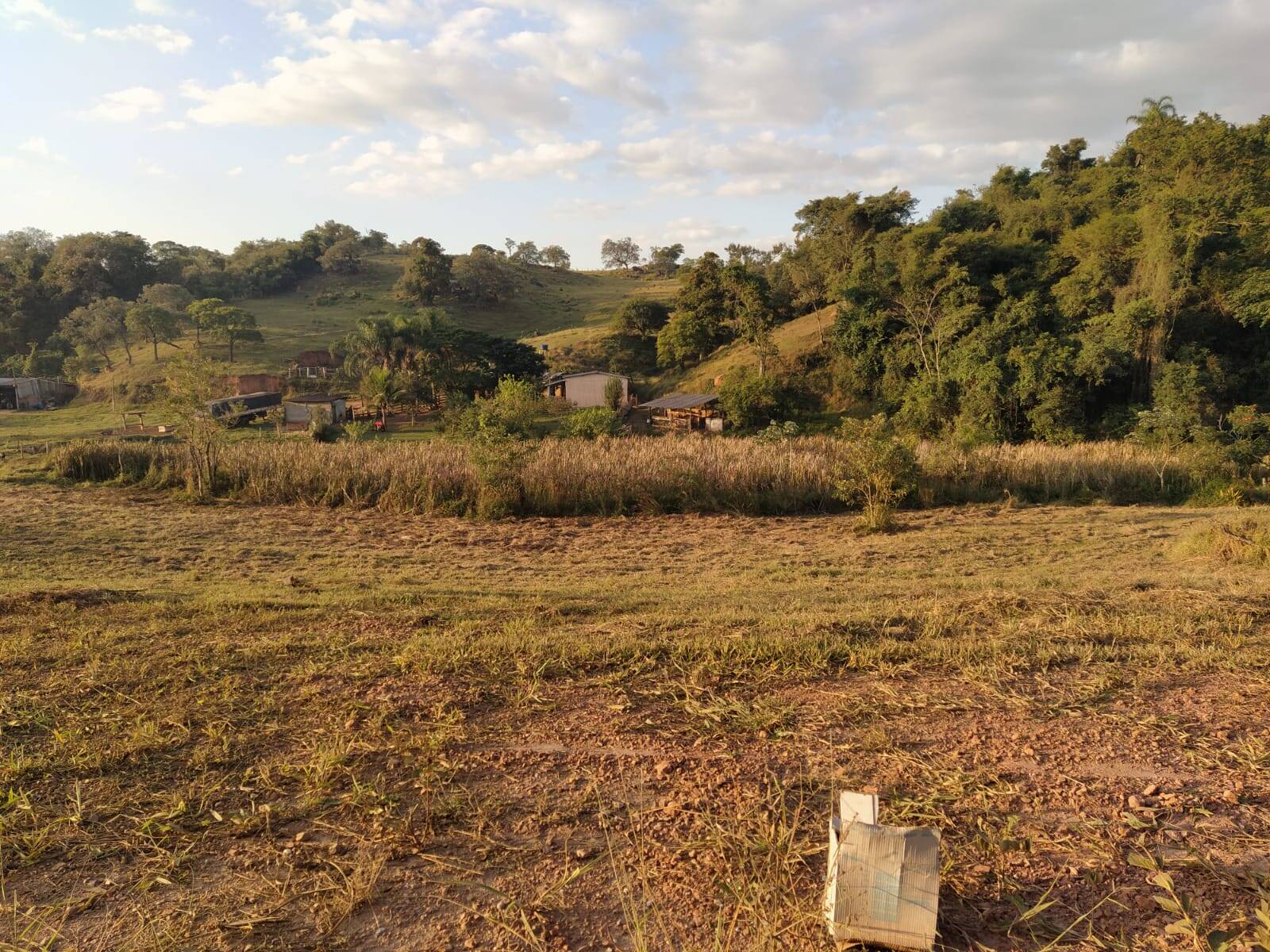 Terreno à venda, 1300m² - Foto 2