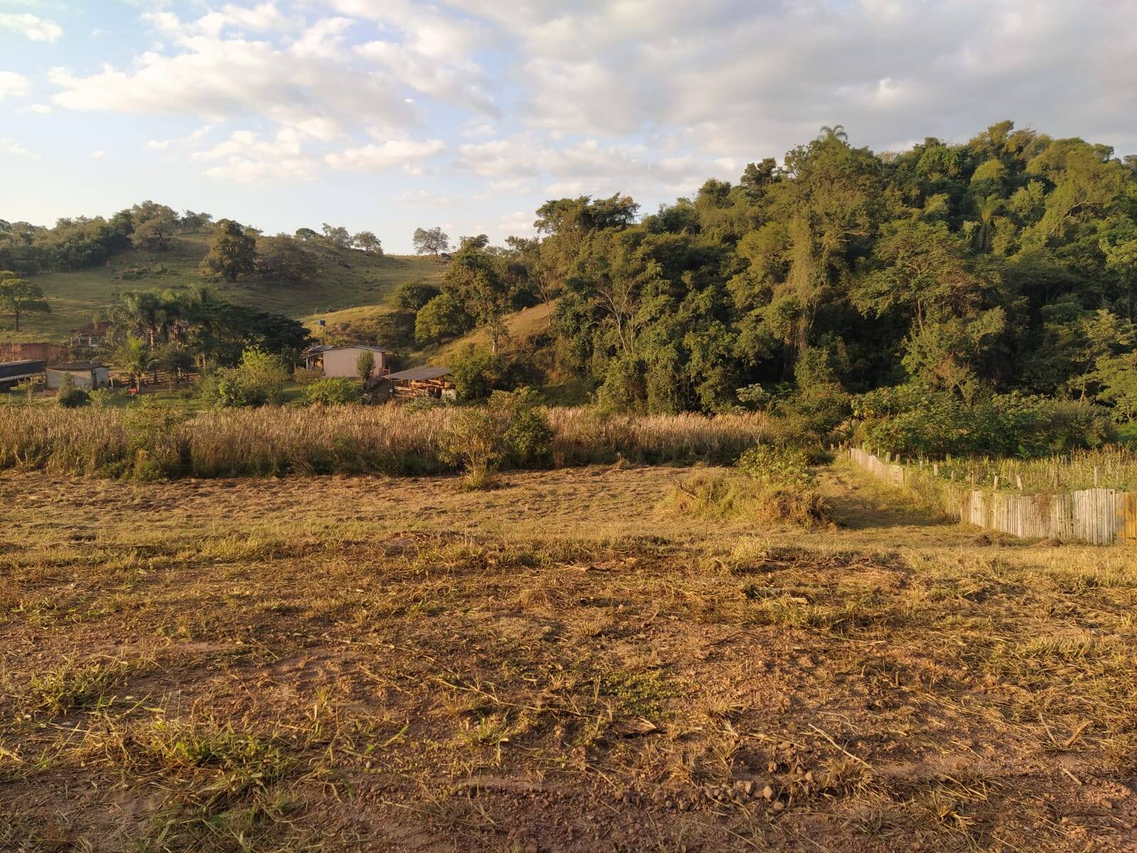 Terreno à venda, 1300m² - Foto 1