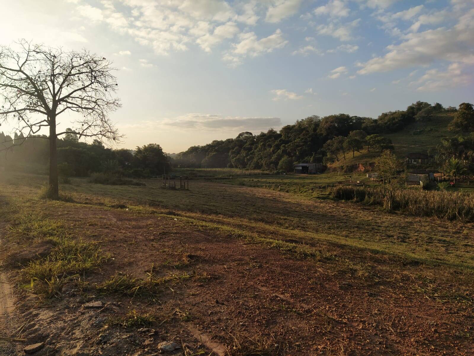 Terreno à venda, 1300m² - Foto 5