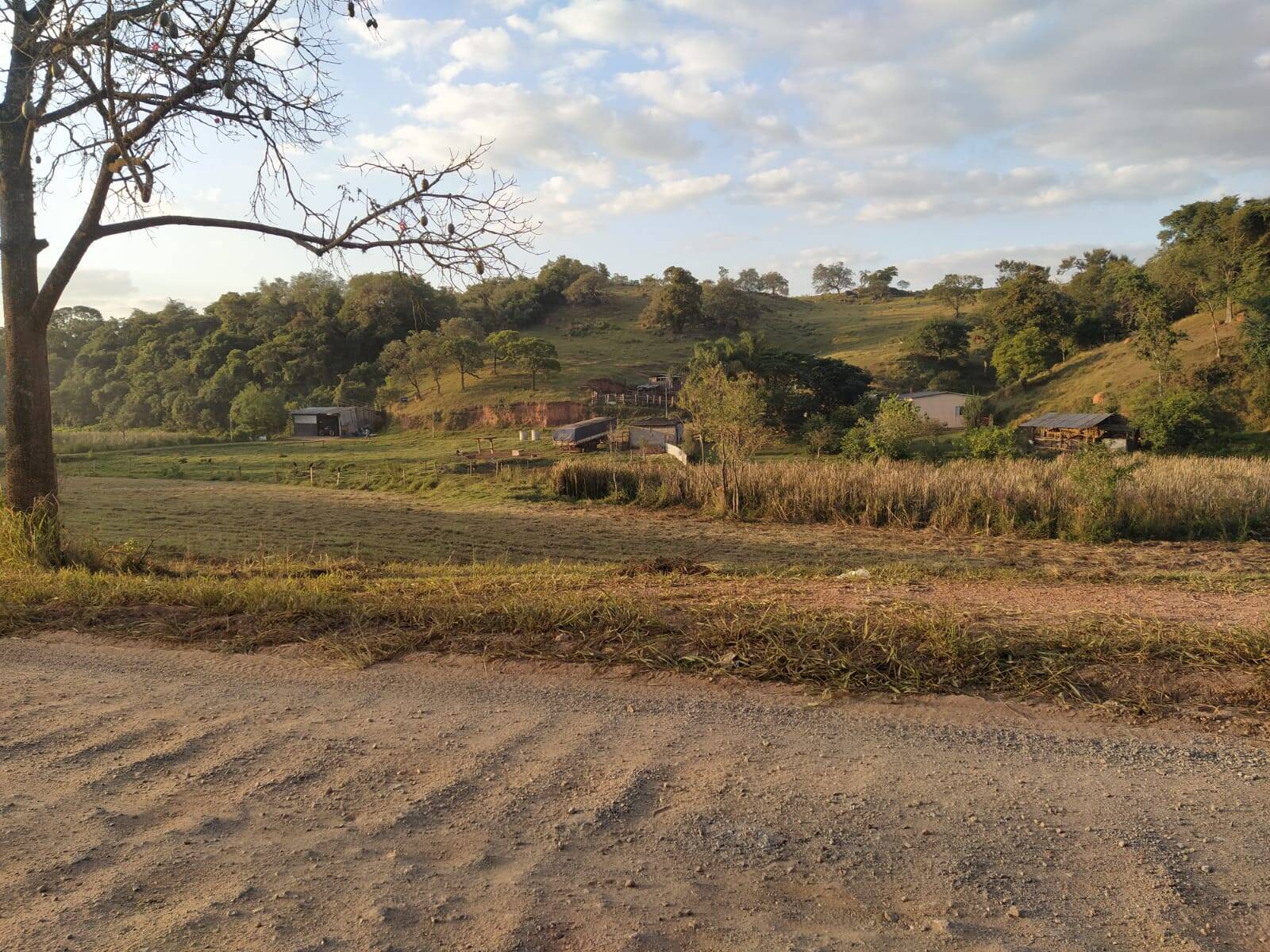 Terreno à venda, 1300m² - Foto 6