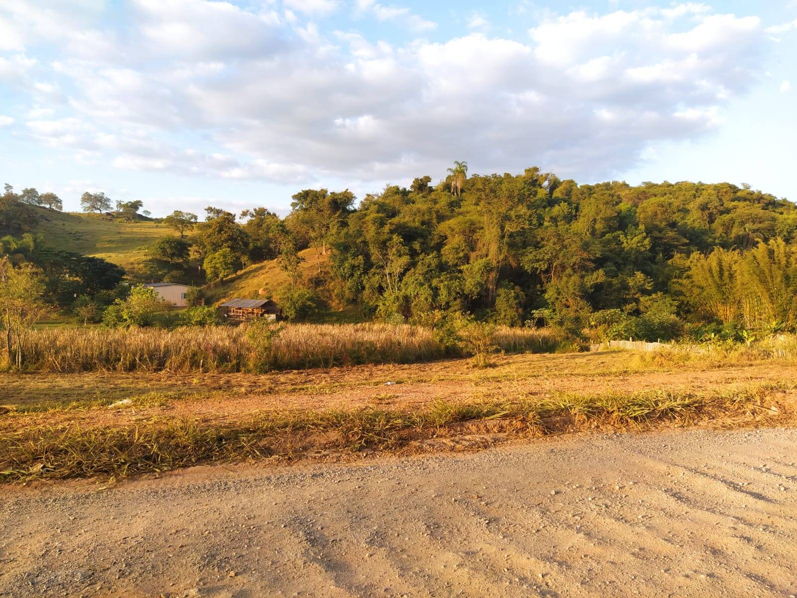 Terreno à venda, 1300m² - Foto 7