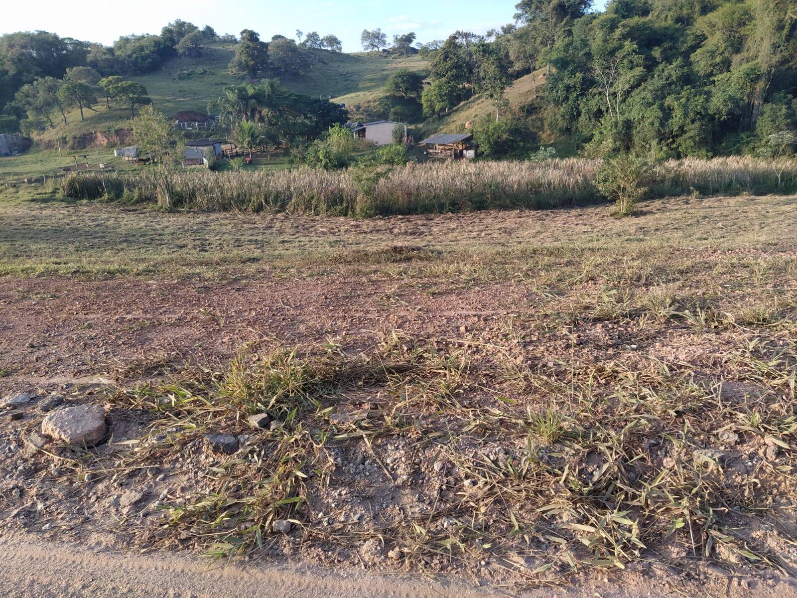 Terreno à venda, 1300m² - Foto 8