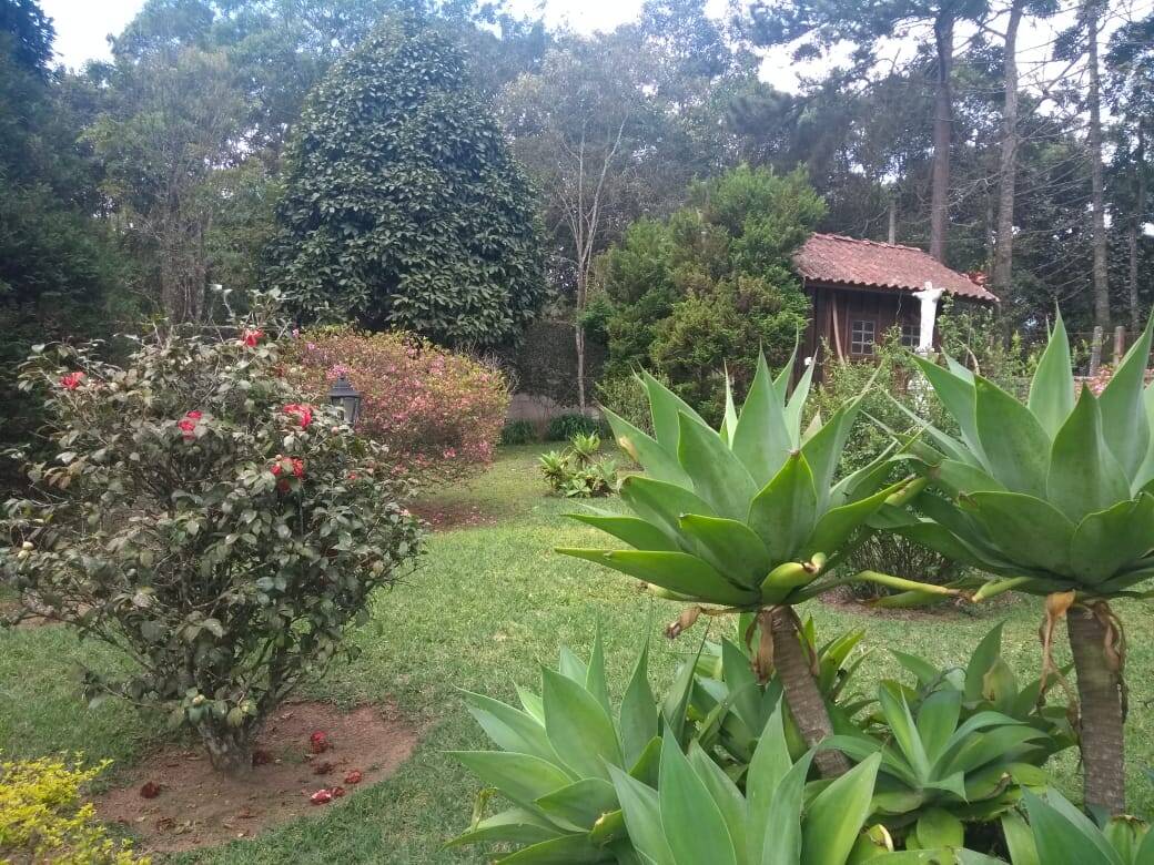 Fazenda à venda com 3 quartos, 8200m² - Foto 16