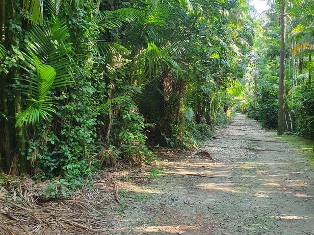 #1437 - Área para Venda em São Sebastião - SP - 2